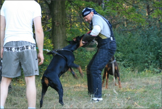 Summer training camp - Jelenec - 2007